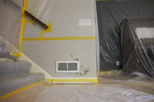 Mold Remediation- Containment