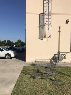 Lazy owners won't return their Walmart cart.  This is a daily occurrence.  No pride!!!