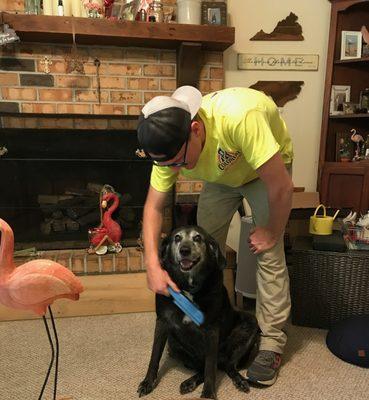 Our installers even take time to groom the dog!