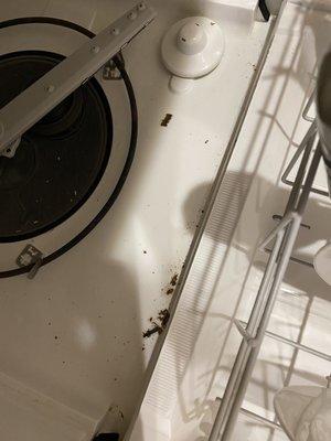 Dishwasher - rating particles found on move in