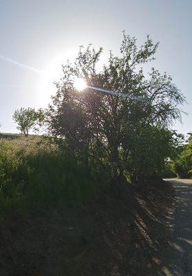 Silver Creek Linear Park