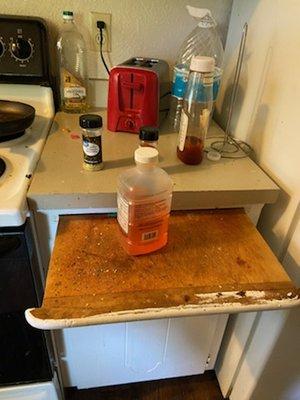 Disgusting kitchen and cutting board.