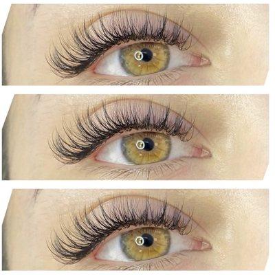 Hybrid Lashes