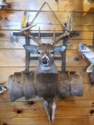 Deer Backpack Mount