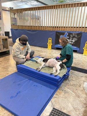 Gracie getting hands on treatment from Chelsea