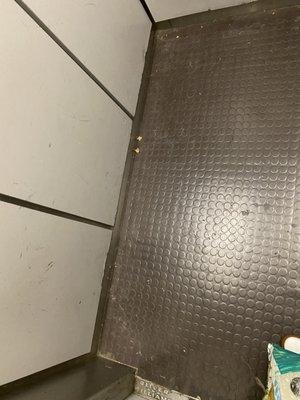 Elevator never cleaned or sanitized