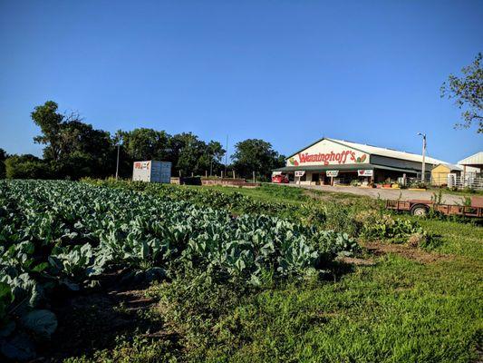 Wenninghoff Farm