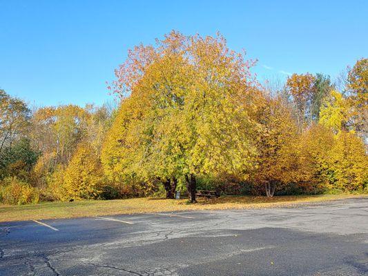 Little picnic area behind the hotel, Waterville ME