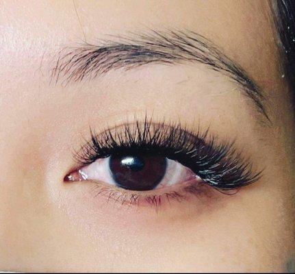 Lashes