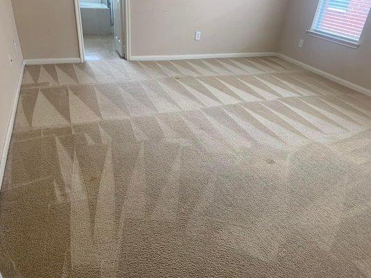 Vacuumed Carpet.