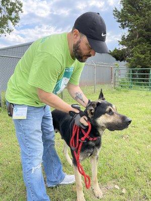 Volunteer walking dog at OKCAW