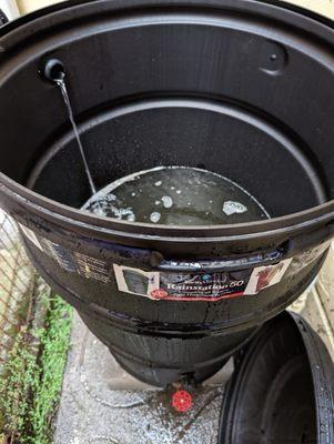 Rain filling up my new rain barrel, installed perfectly by Oscar!