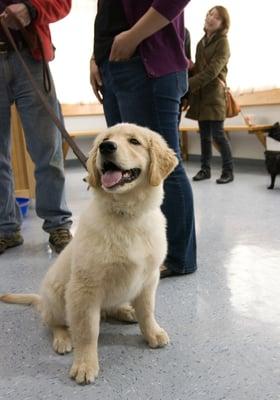 Brewster is all smiles!