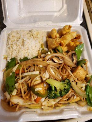 Vegetable Lo Mein w/ bean curd (fried tofu) added. The container must be 4 pounds. Huge portion.