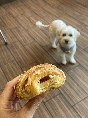 New almond croissant is pretty good!!