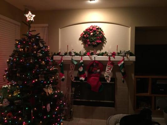 Stockings hung over the fireplace while Buddy rests nearby....