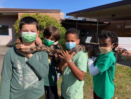 Reptile show at school