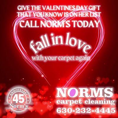 Norm's Carpet Cleaning Is The Greatest Gift!