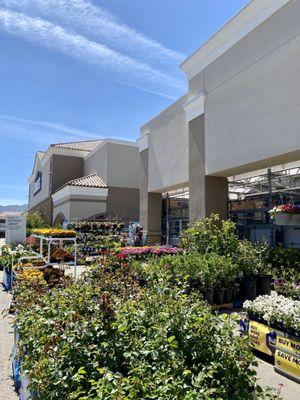 View of the front of the store from the garden center.