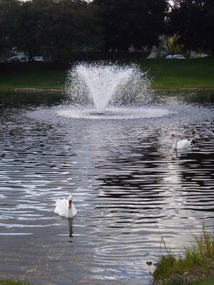 Waterchase is surrounded by a lot of nature