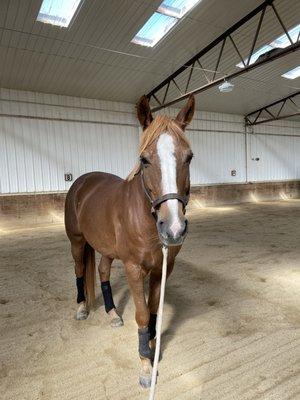 Townline Stables