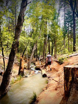 Walking path near cottage