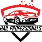 Hail Professionals