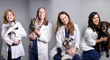 Bluebonnet Animal Hospital