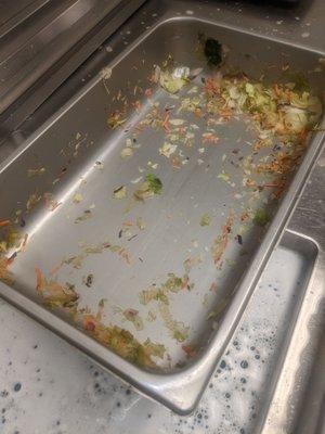 Salad bar pan