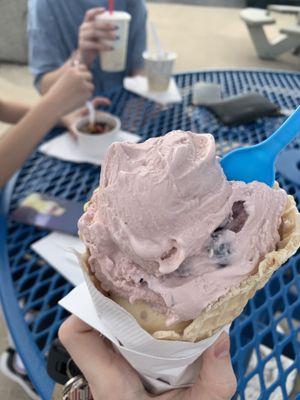 Waffle Cone blueberry