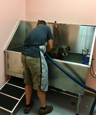 Self-service dog wash