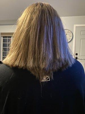 The haircut Susan gave my daughter friday. This is  disgusting. My daughter was in tears and of course the shop is closed on weekends.