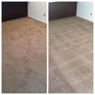 Multiple Pet Stains and Red Stains Removed.