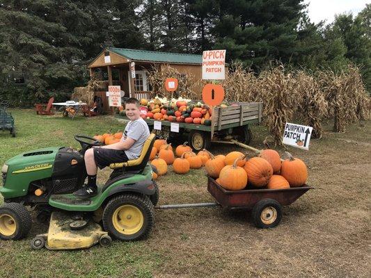 Bringing pumpkins up from the U-Pick patch