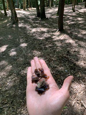 Found broken glass on the ground at the park :(