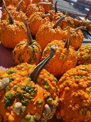 Blue Jay Orchards