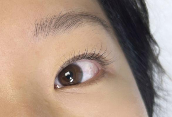 Keratin Lash Lift