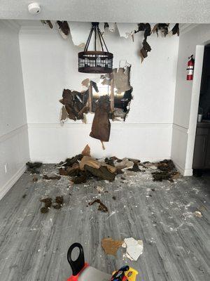 Fire damage