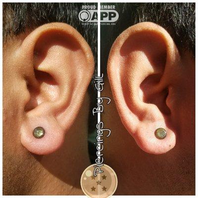 Large Gauge Earlobe Piercings By GilL