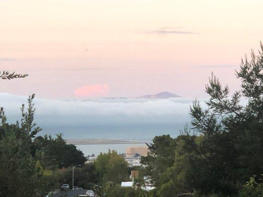 The bay shrouded in fog and Mt. Diablo