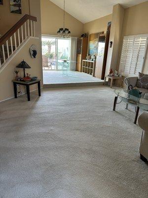 Clean white living room and dining room carpets.