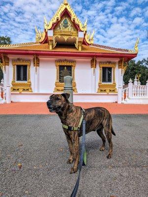 Wat Mongkolrata Temple