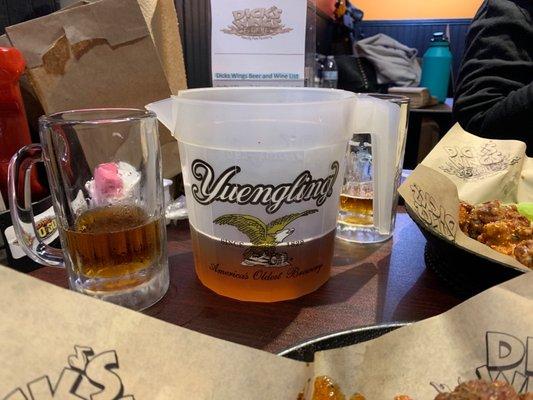 yuengling pitcher