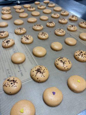 Macaron shells