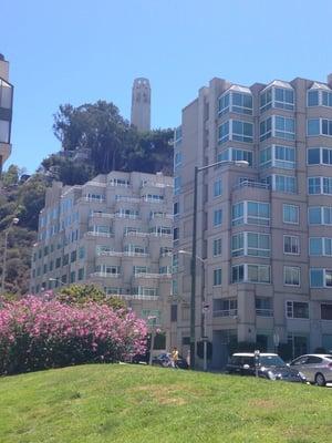 Coit tower in the background