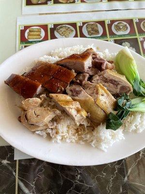 R2. Two Combination Over Rice, roast duck and marinated chicken