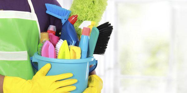 Professional house cleaning services