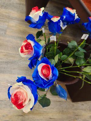 4th of July colored roses - 7/2023