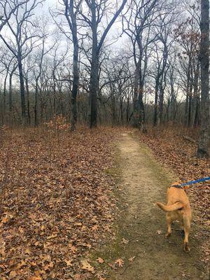 Knob Noster State Park