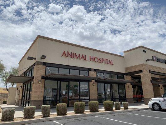 Cornerstone Animal Hospital